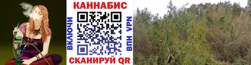 Где можно купить наркотики Котельниково Конопля  Alpha-PVP  Гашиш  Cocaine 