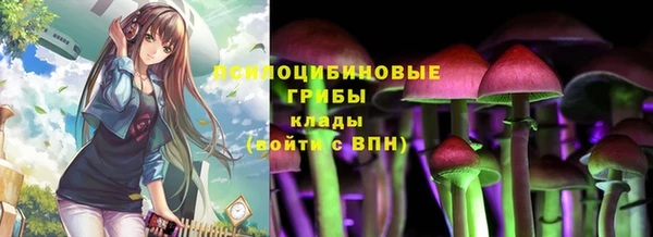 соль ск Балабаново
