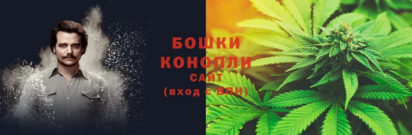 твердый Сясьстрой