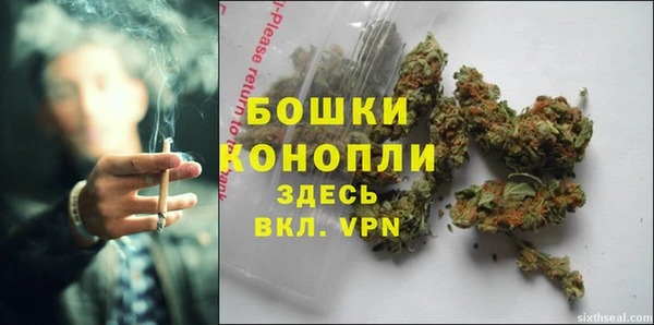 ПСИЛОЦИБИНОВЫЕ ГРИБЫ Белокуриха