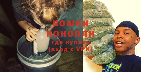 твердый Сясьстрой